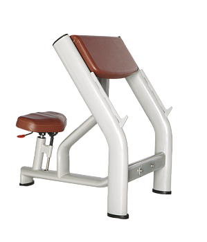 Скамья Скотта BRONZE GYM H-040A (КОРИЧНЕВЫЙ)